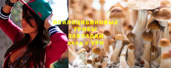 дурь Алексеевка