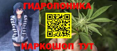 ешки Камень-на-Оби