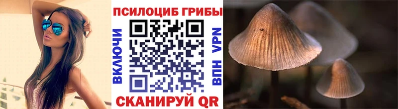 Псилоцибиновые грибы GOLDEN TEACHER  купить наркоту  Апшеронск 